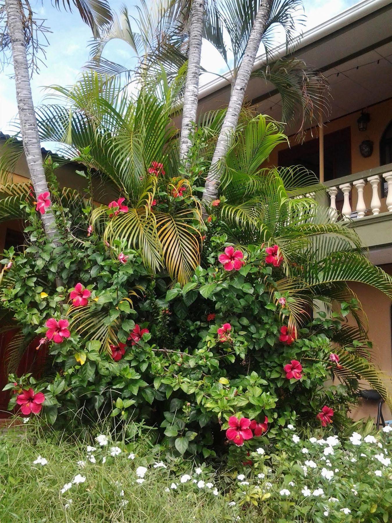 Cabinas Madeleine Puntarenas Exteriör bild